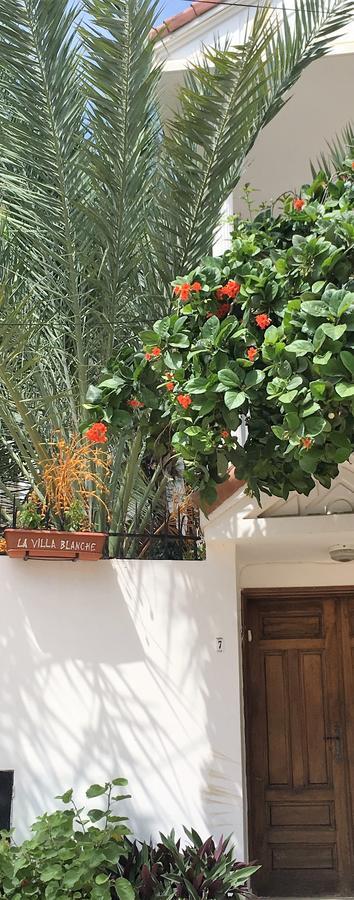 La Villa Blanche Dakar Dış mekan fotoğraf